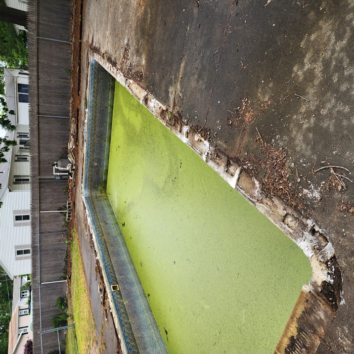 inground pool demo