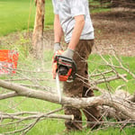 Tree Service Projects