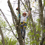 Tree Service Projects