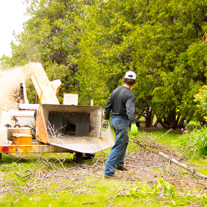 Tree Service Projects