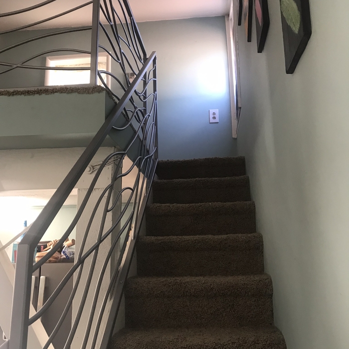 Branch railing