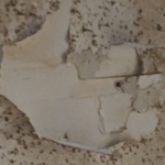 Ceiling Repair