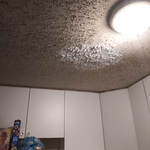 Ceiling repair