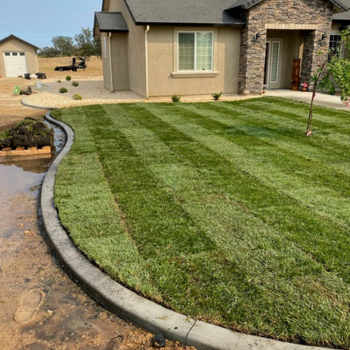 Sod and Landscaping