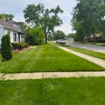 Grass maintenance