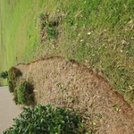 Edging