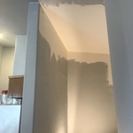 Almost Finished With First Coat
