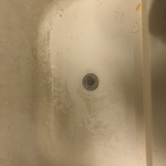 Shower Cleaning
