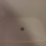 Shower Cleaning