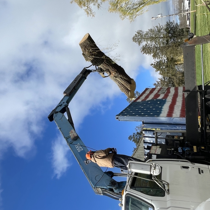 Grapple truck loading logs