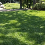Lawn care