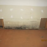 Black Mold
