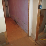 Black Mold