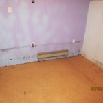 Black Mold