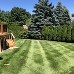 Lawn Maintenance