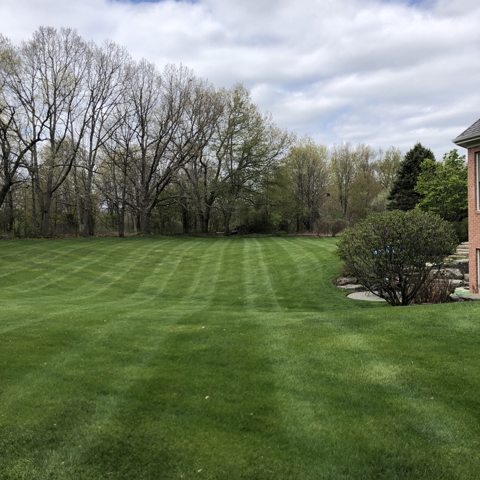 Lawn Maintenance