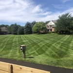 Lawn Maintenance