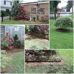 Brown Home