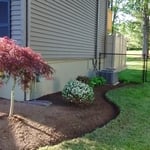 Design/Landscape
