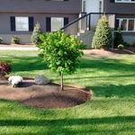 Design/Landscape