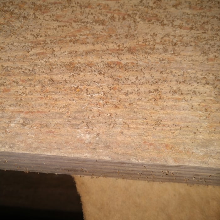 Garage joist from excessive humidity