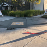 Handicap Ramp