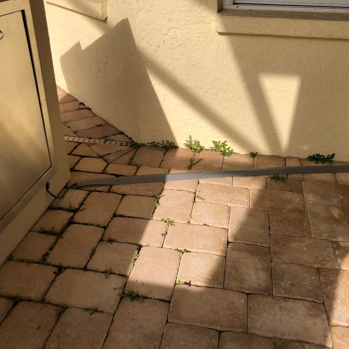 Soft and Pressure Wash