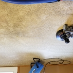 Carpet Cleaning