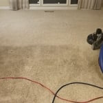 Carpet Cleaning