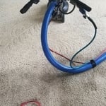 Carpet Cleaning