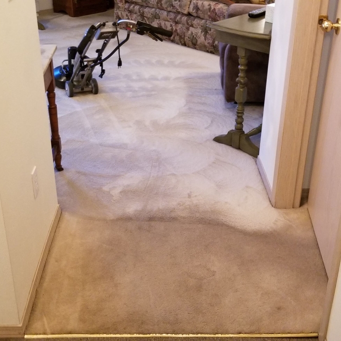 Carpet Cleaning