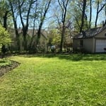 After Mowing
