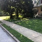 After Mowing