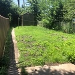 Before Mowing