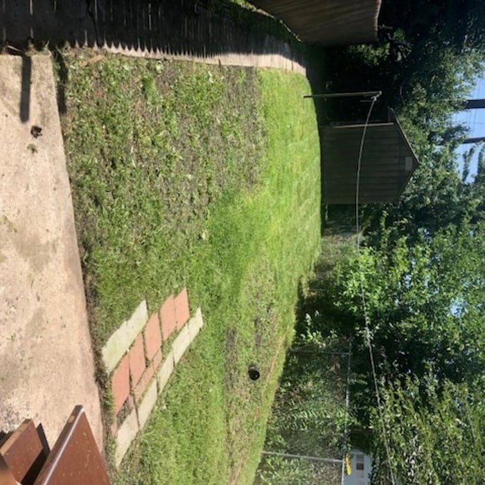 After Mowing