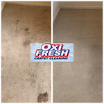 Before and After Carpet Cleaning