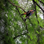 The climbing begins