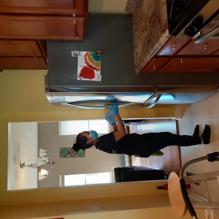 Fridge Cleaning