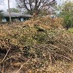 Yard Clippings Removal