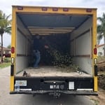 Yard Clippings Removal