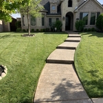 Push Mowed Lines