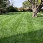 Riding Mower Lines
