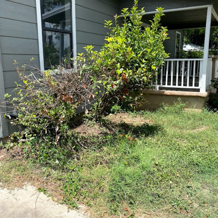 SOD Installation