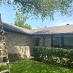 Tree Trim