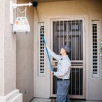 Removing Spider Webs