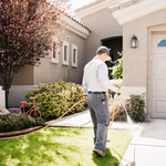 Yard Treatments