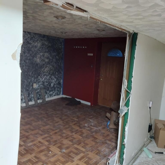 Basement Renovation