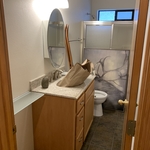 Bathroom Clean/Organize
