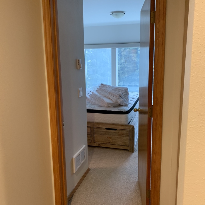 Bedroom Clean/Organize