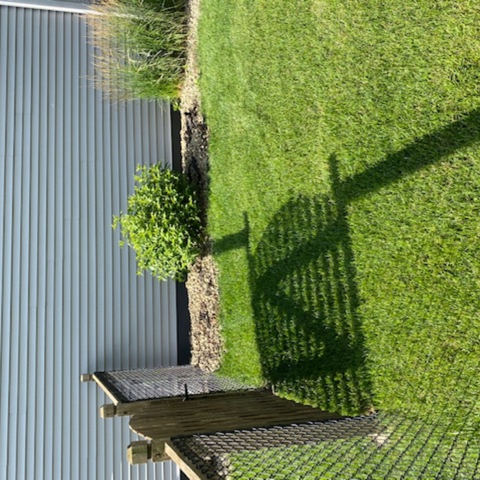 North side of house